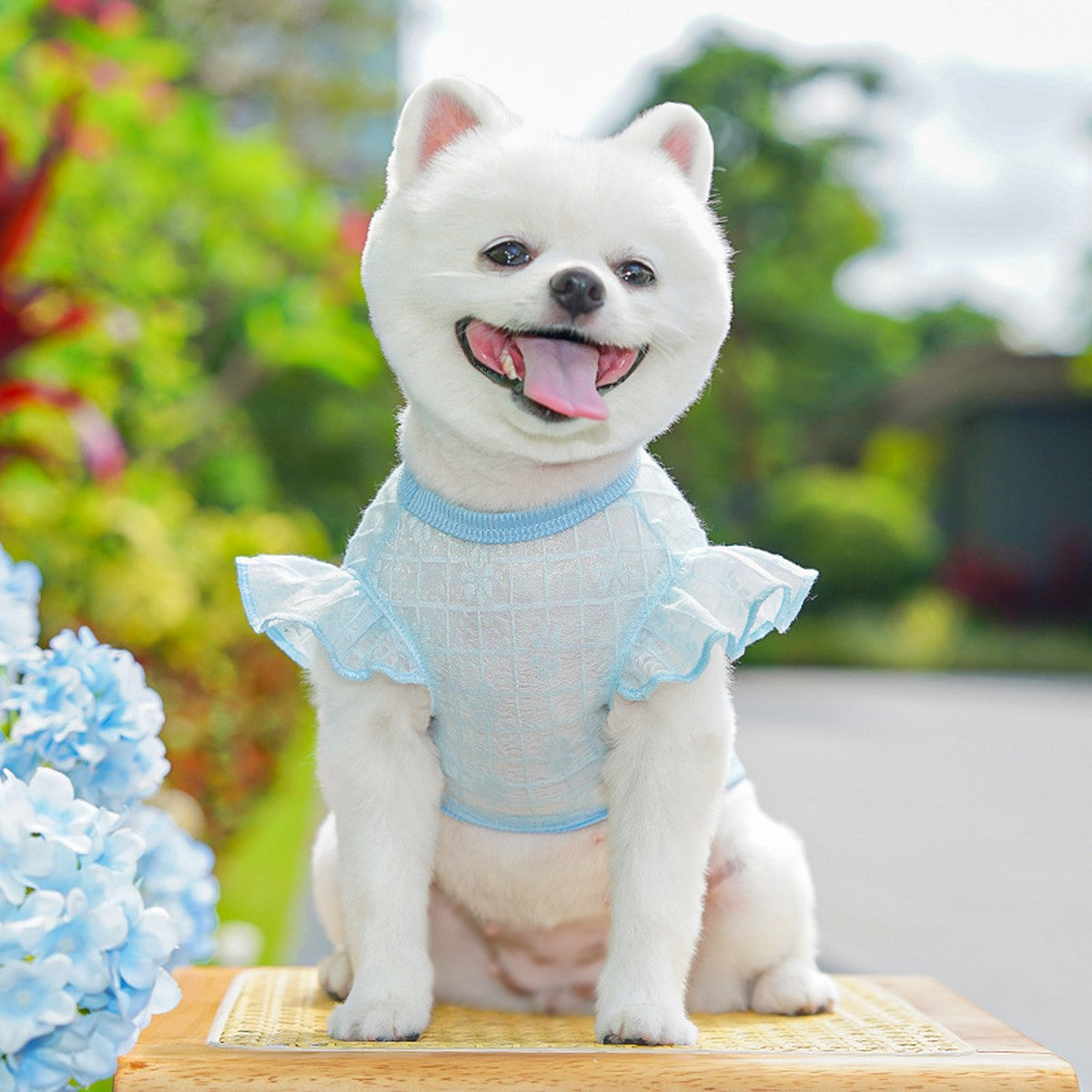 Flutter Sleeve Top with Soft Stretch_CWMM11127