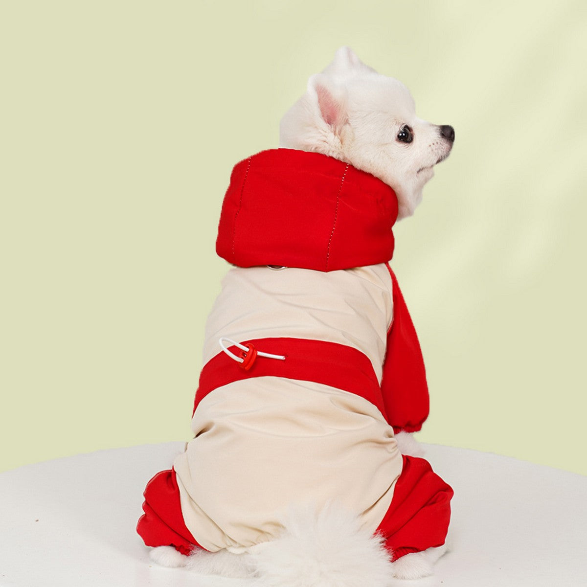 Waterproof 4-Leg Winter Jacket for Large Dogs_CWMM11079