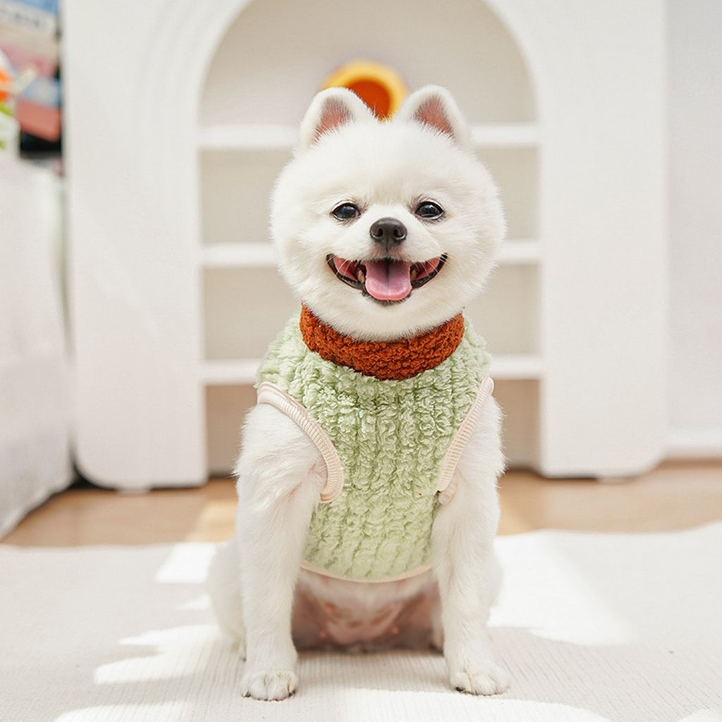 Plush Lion Suit for Hairless Pets Warmth Solution_CWMM11130