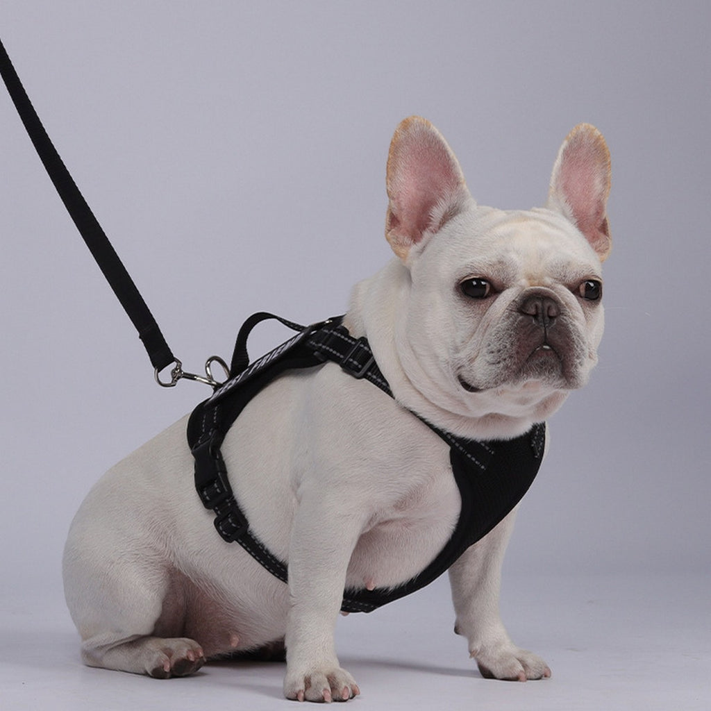 Reflective Service Dog Harness with Leash_CWMM12488