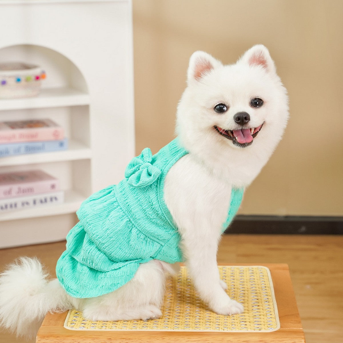 New Pet Tutu Dress Thin & Cute for Teddy and Bichon_CWMM11140