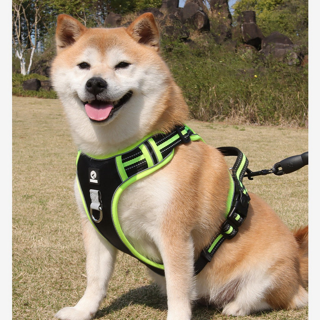 Wear Resistant Reflective Dog Vest Harness_CWMM12511