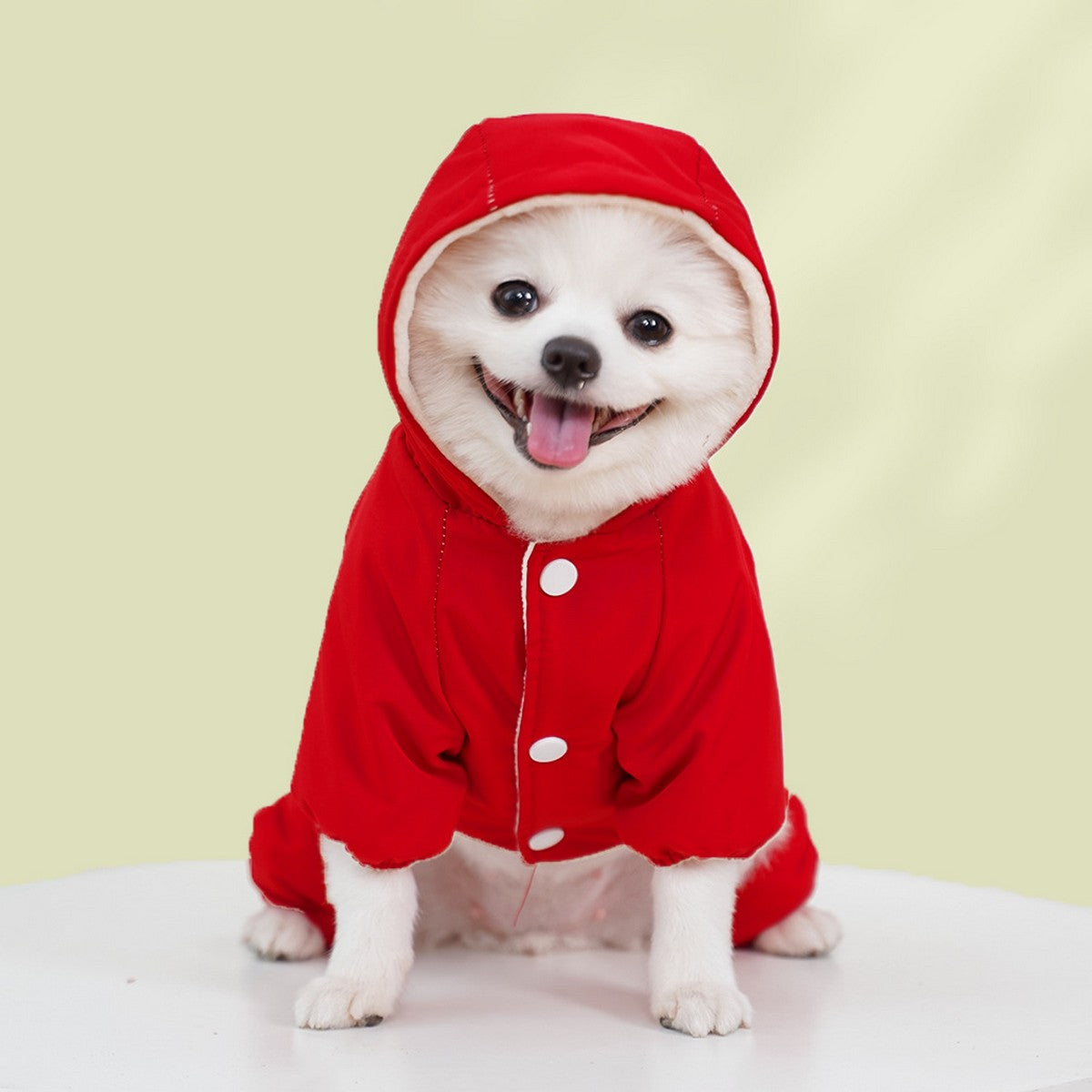 Waterproof 4-Leg Winter Jacket for Large Dogs_CWMM11079