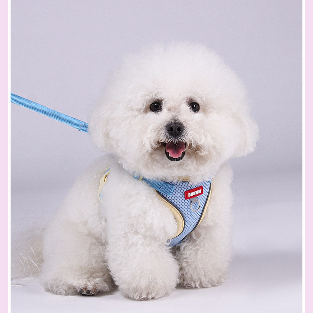 Comfort Fit Dog Vest Harness with Leash_CWMM12569