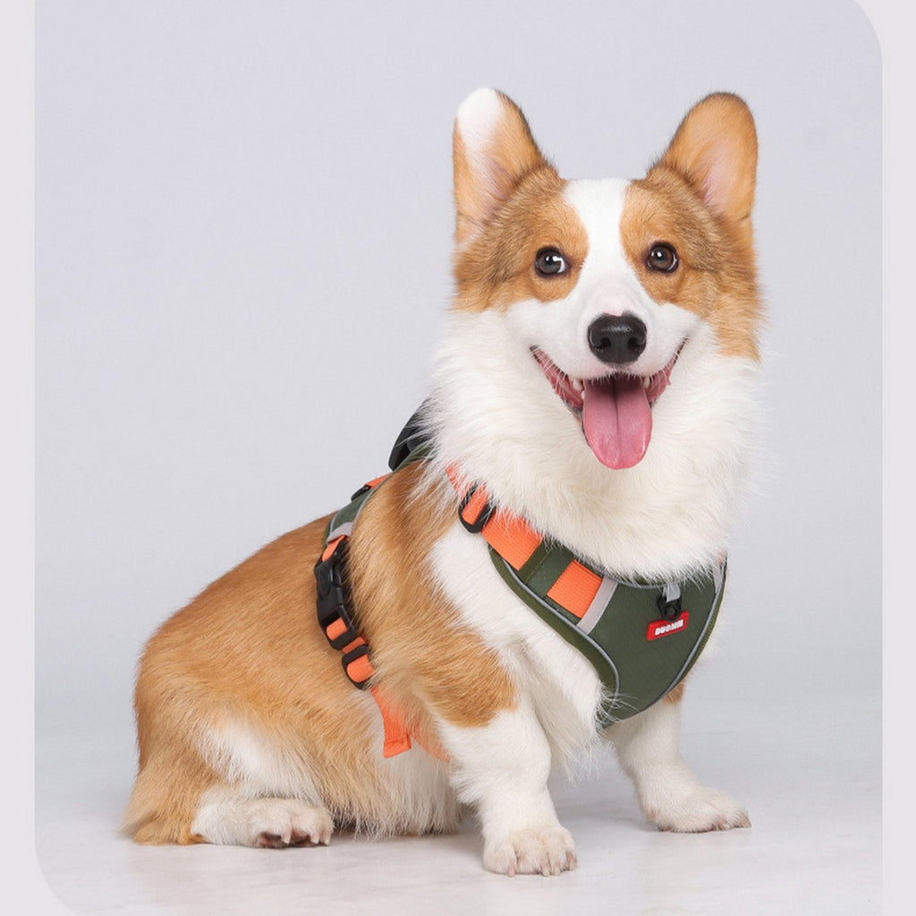 Dog Harness and Leash Set with Tracker Holder_CWMM12486