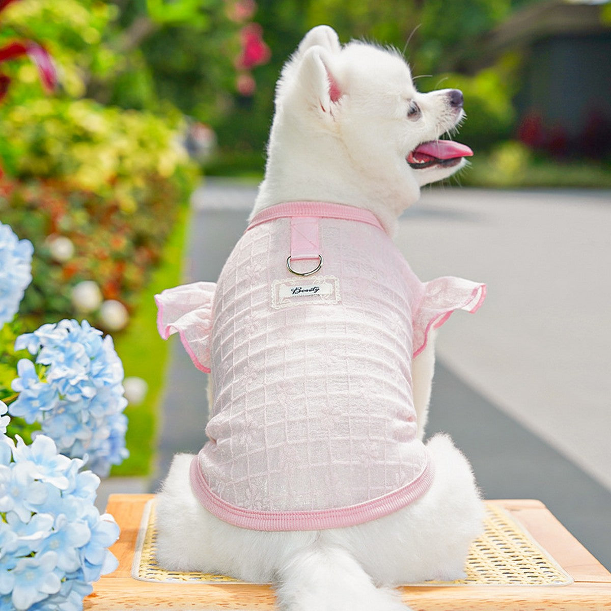 Flutter Sleeve Top with Soft Stretch_CWMM11127