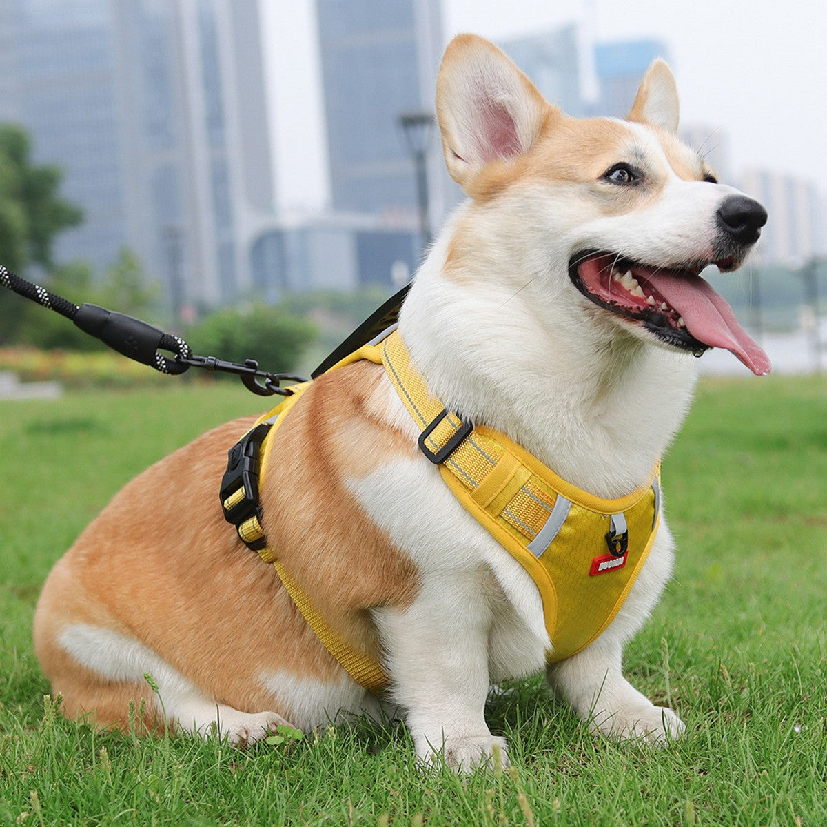 No-Pull Reflective Dog Harness, Large Dog Leash_CWMM12442