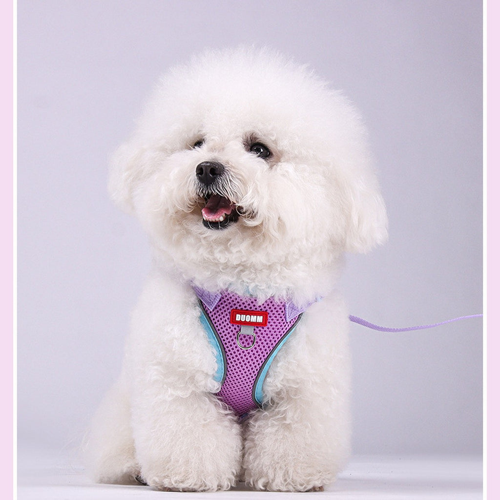 Comfort Fit Dog Vest Harness with Leash_CWMM12569