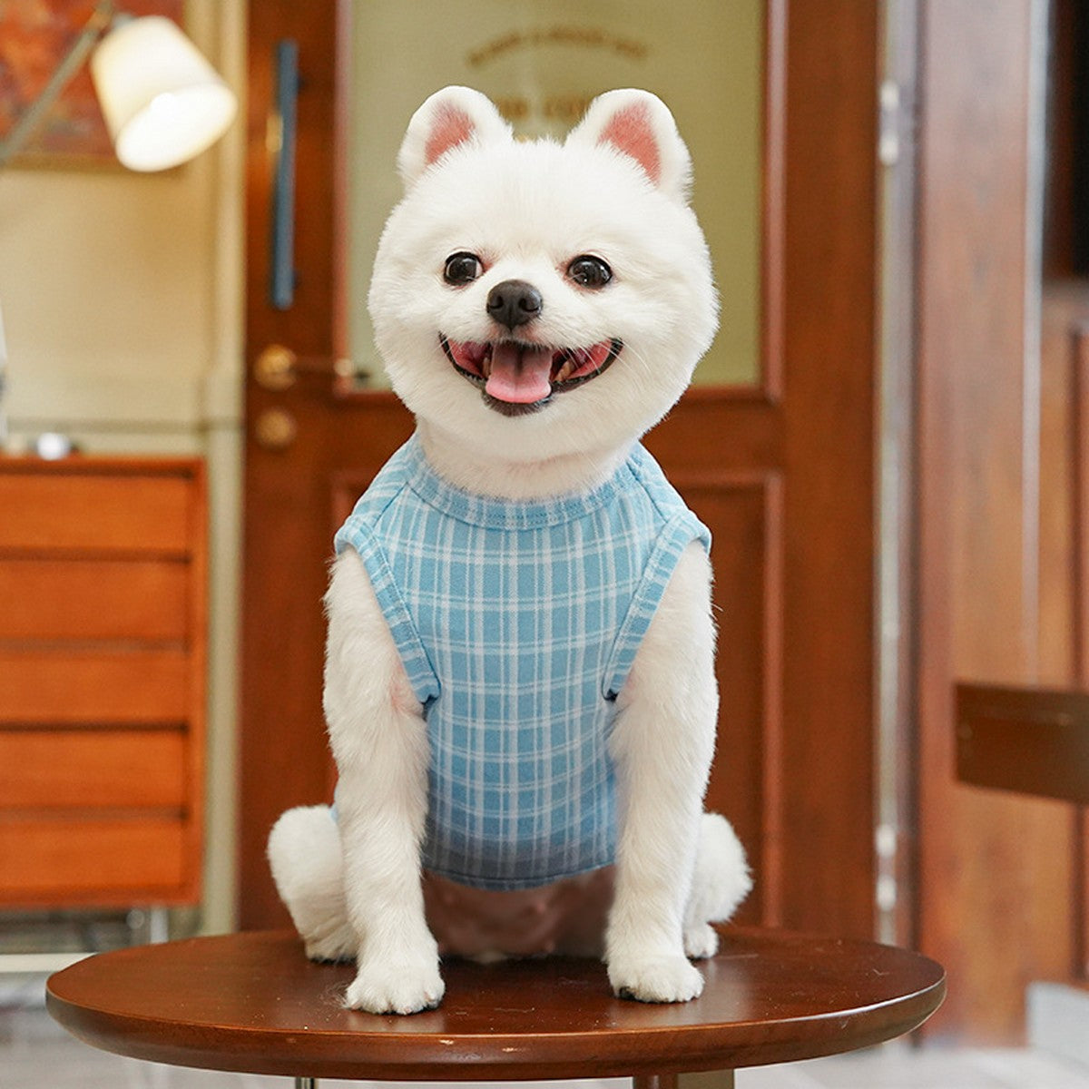 Plush Checkered Dog Turtleneck Outfit_CWMM11134