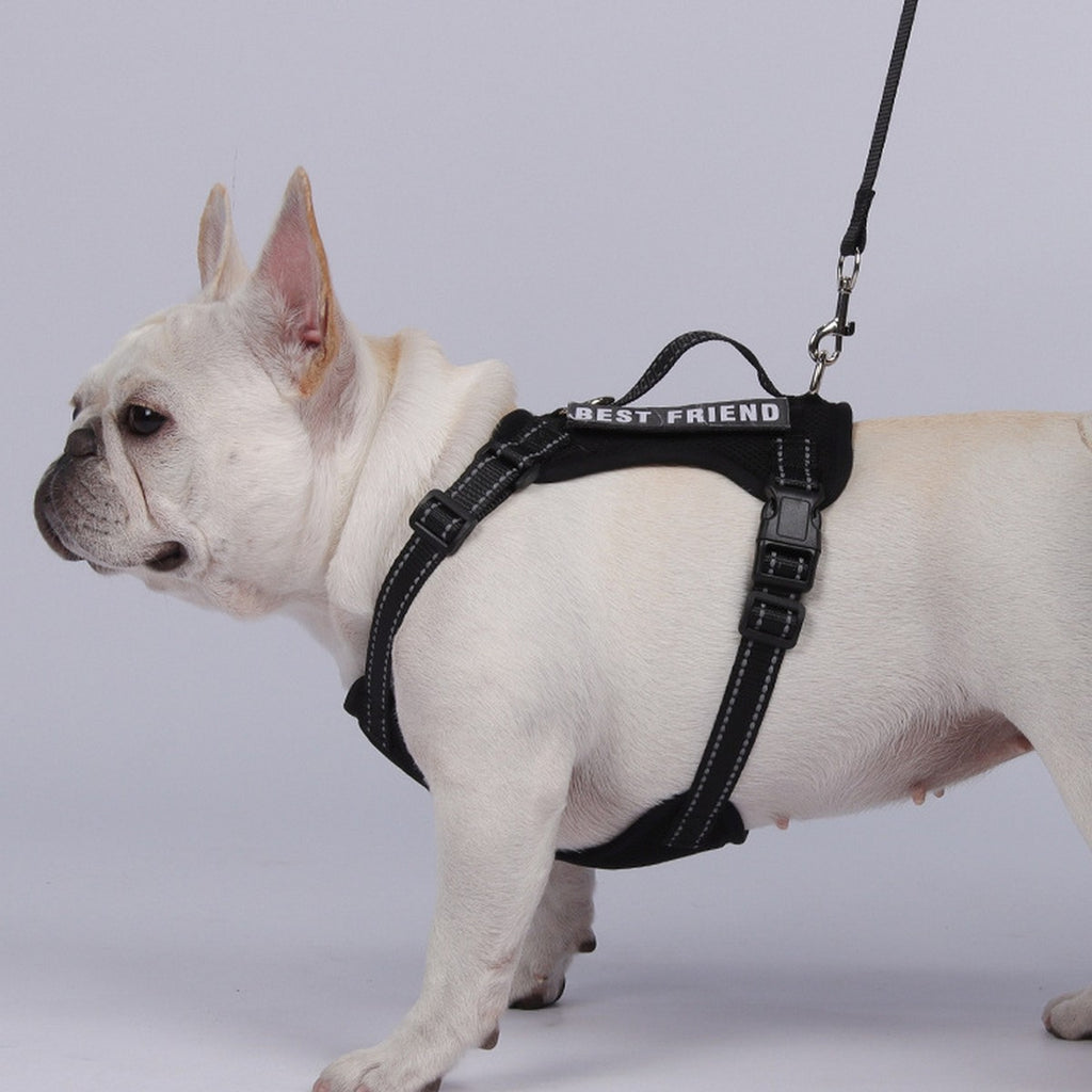 Reflective Service Dog Harness with Leash_CWMM12488