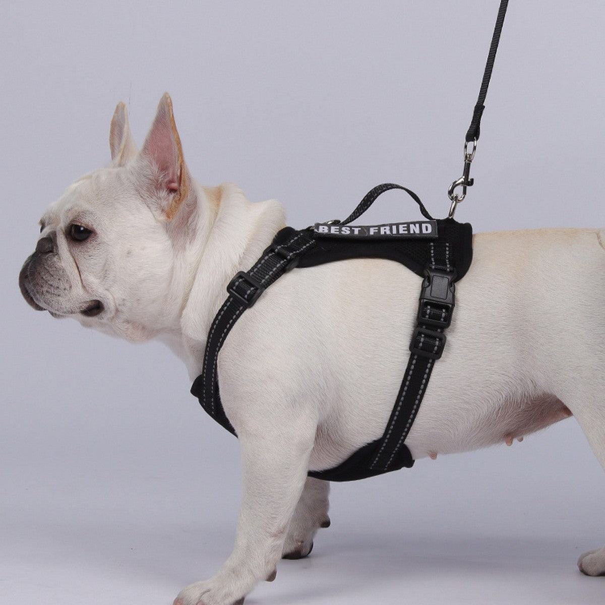 Reflective Service Dog Harness with Leash_CWMM12488