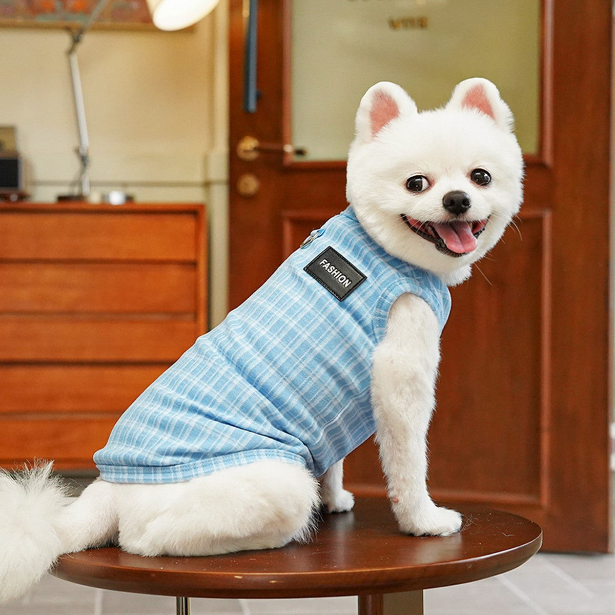 Plush Checkered Dog Turtleneck Outfit_CWMM11134