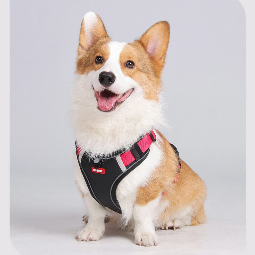 Dog Harness and Leash Set with Tracker Holder_CWMM12486