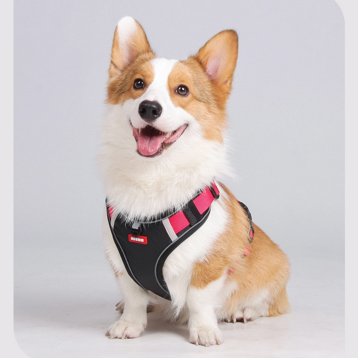 Dog Harness and Leash Set with Tracker Holder_CWMM12486