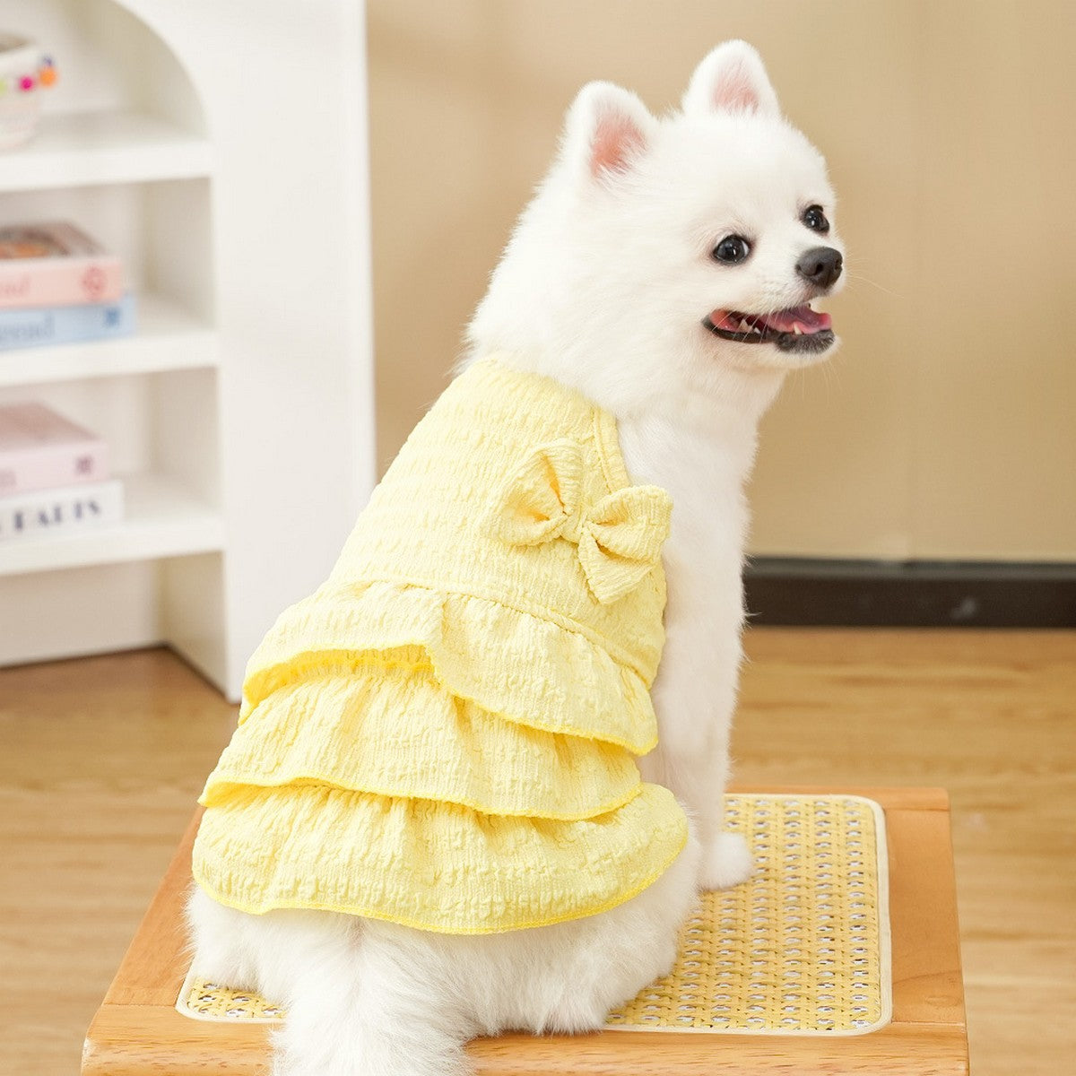 New Pet Tutu Dress Thin & Cute for Teddy and Bichon_CWMM11140