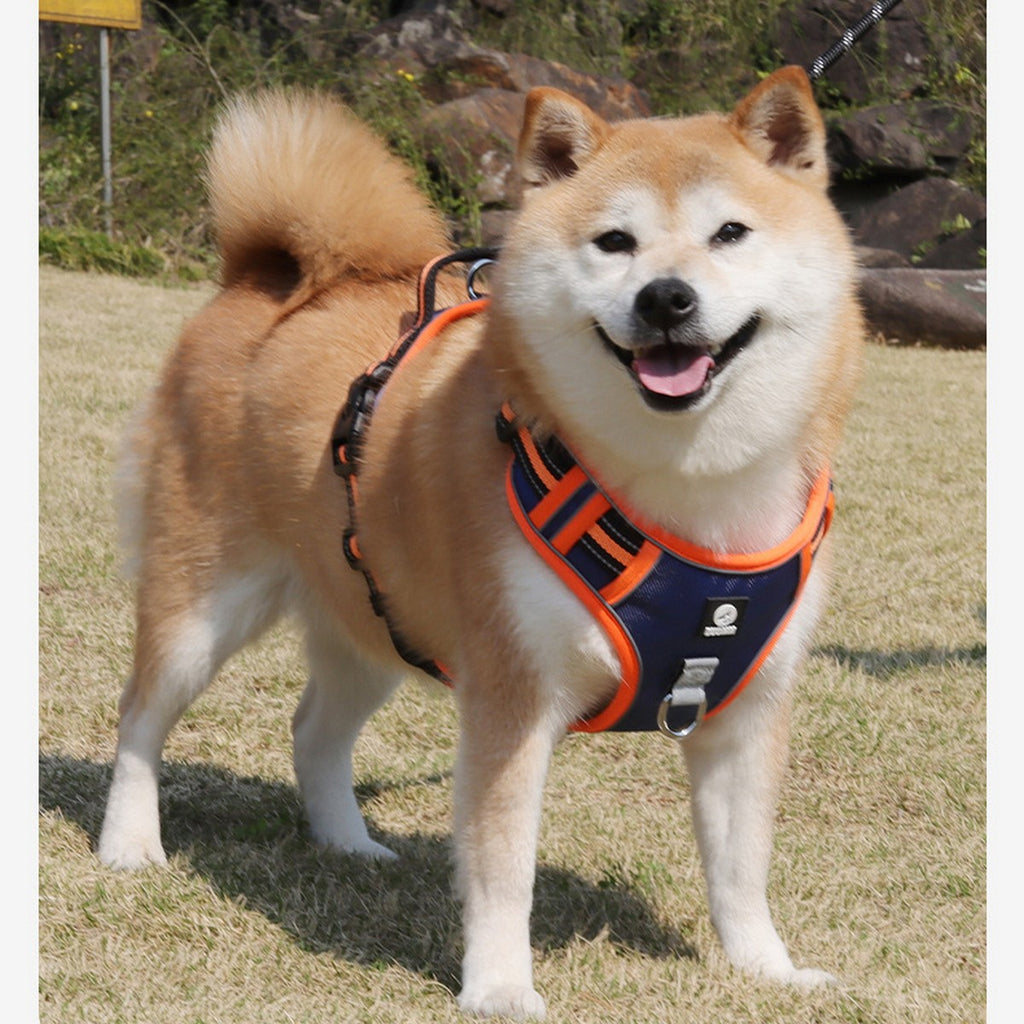 Wear Resistant Reflective Dog Vest Harness_CWMM12511