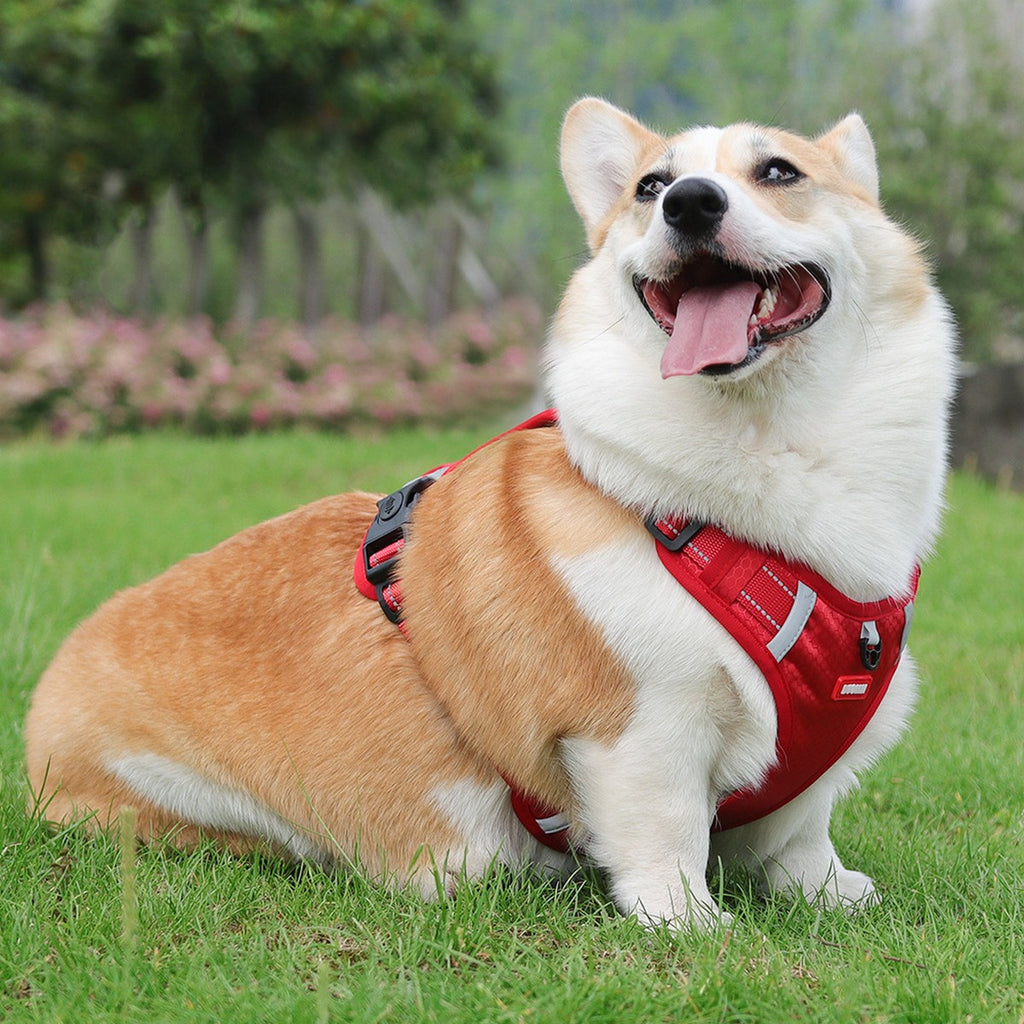 No-Pull Reflective Dog Harness, Large Dog Leash_CWMM12442