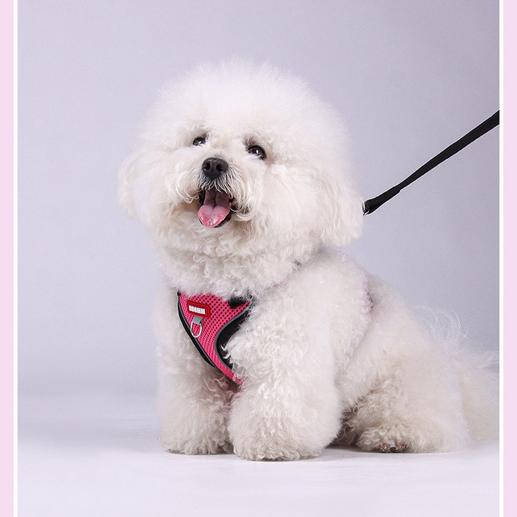 Comfort Fit Dog Vest Harness with Leash_CWMM12569
