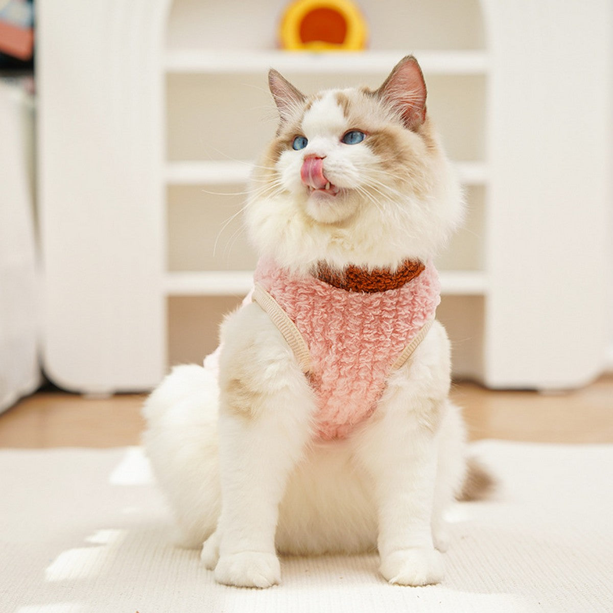 Plush Lion Suit for Hairless Pets Warmth Solution_CWMM11130