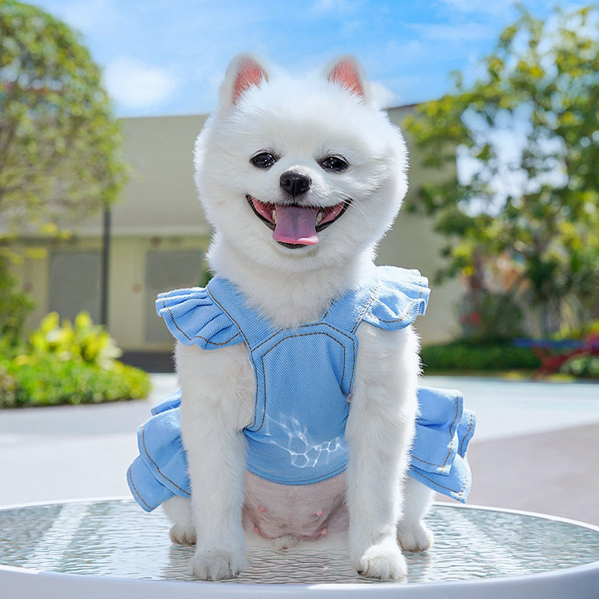 Dog Dresses Cute Denim Overalls with Leash Loop_CWMM11124