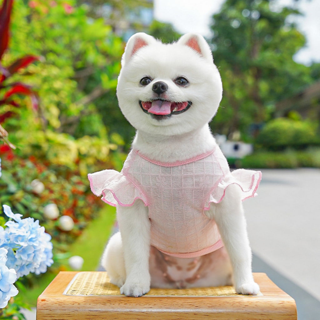 Flutter Sleeve Top with Soft Stretch_CWMM11127