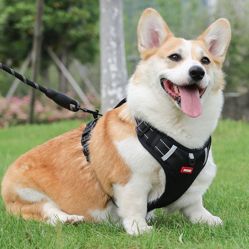 No-Pull Reflective Dog Harness, Large Dog Leash_CWMM12442
