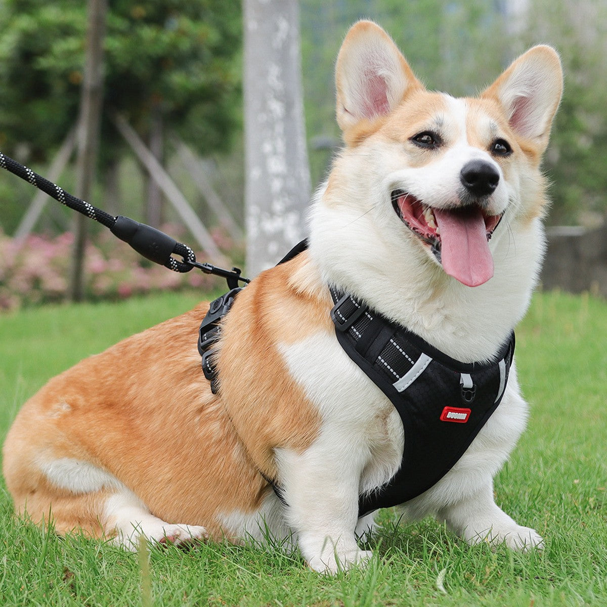 No-Pull Reflective Dog Harness, Large Dog Leash_CWMM12442