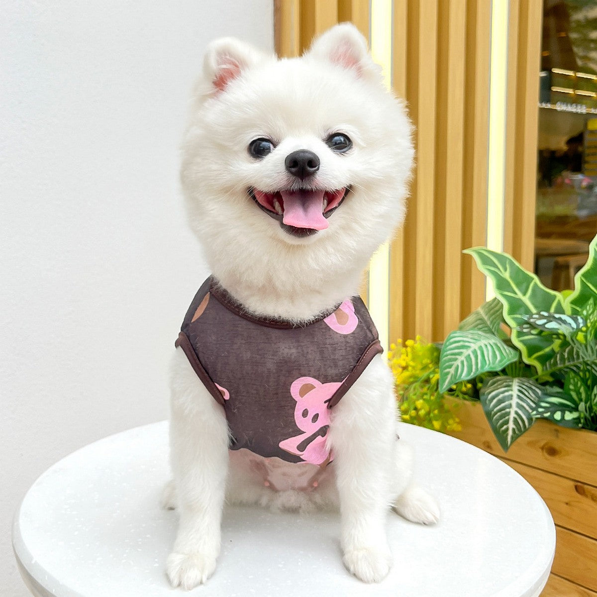 Large Dog Summer Vest  Bear Print Cooling Apparel_CWMM11135