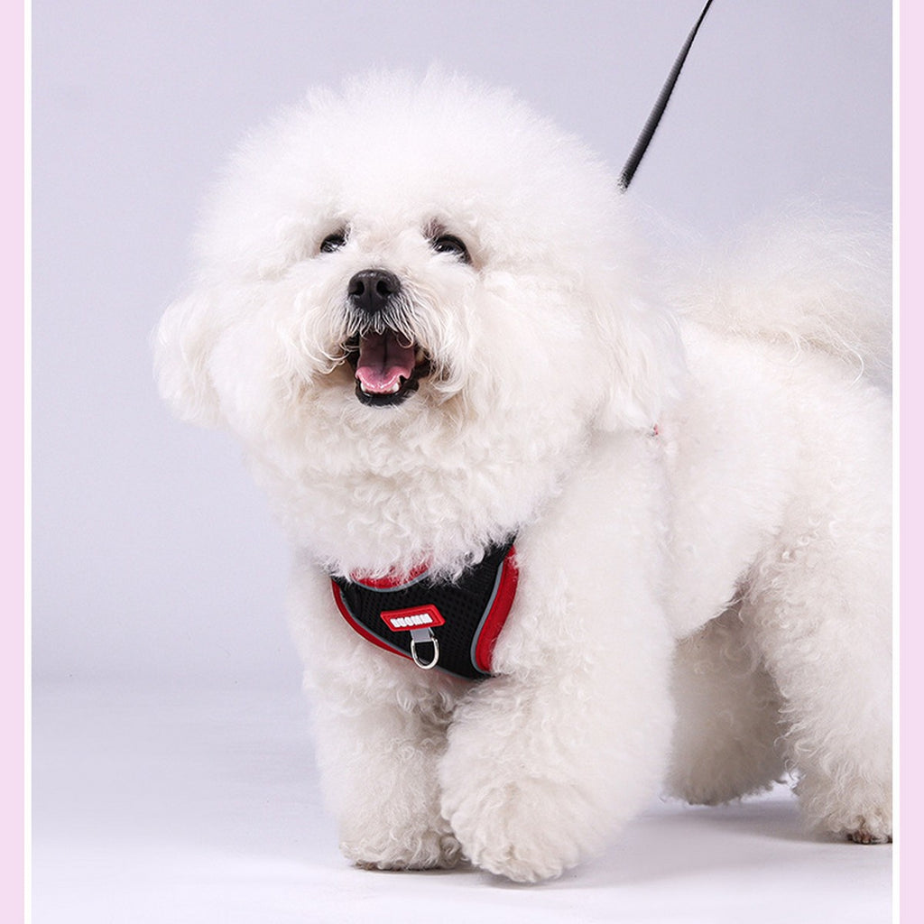 Comfort Fit Dog Vest Harness with Leash_CWMM12569