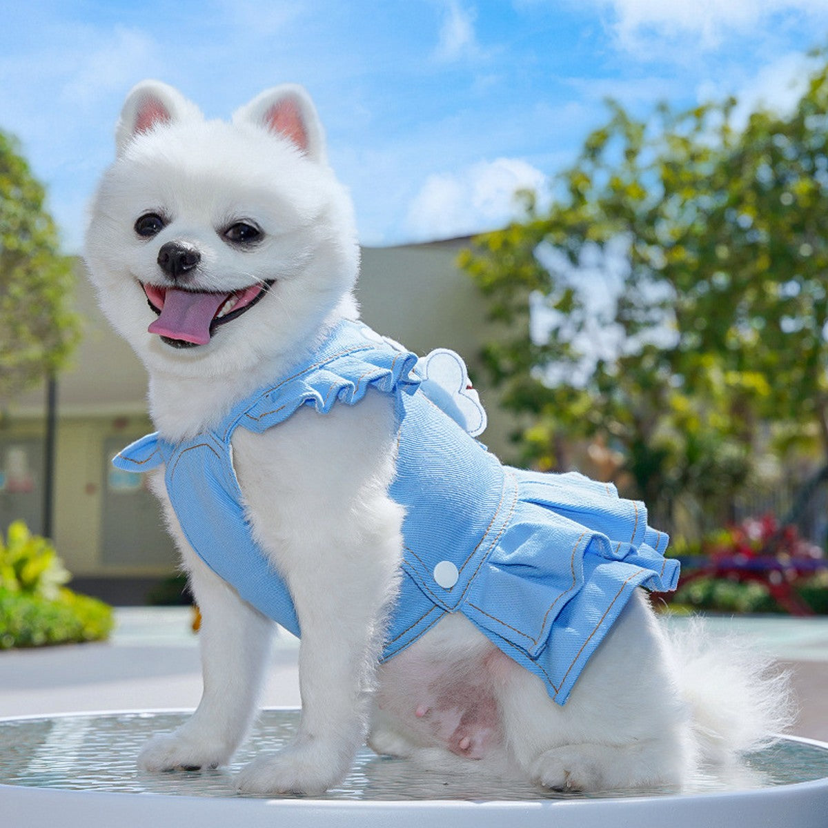 Dog Dresses Cute Denim Overalls with Leash Loop_CWMM11124