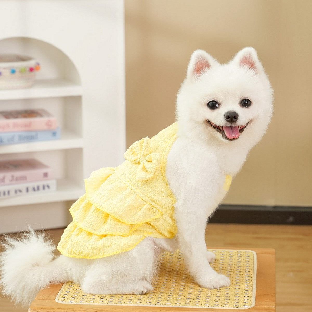 New Pet Tutu Dress Thin & Cute for Teddy and Bichon_CWMM11140