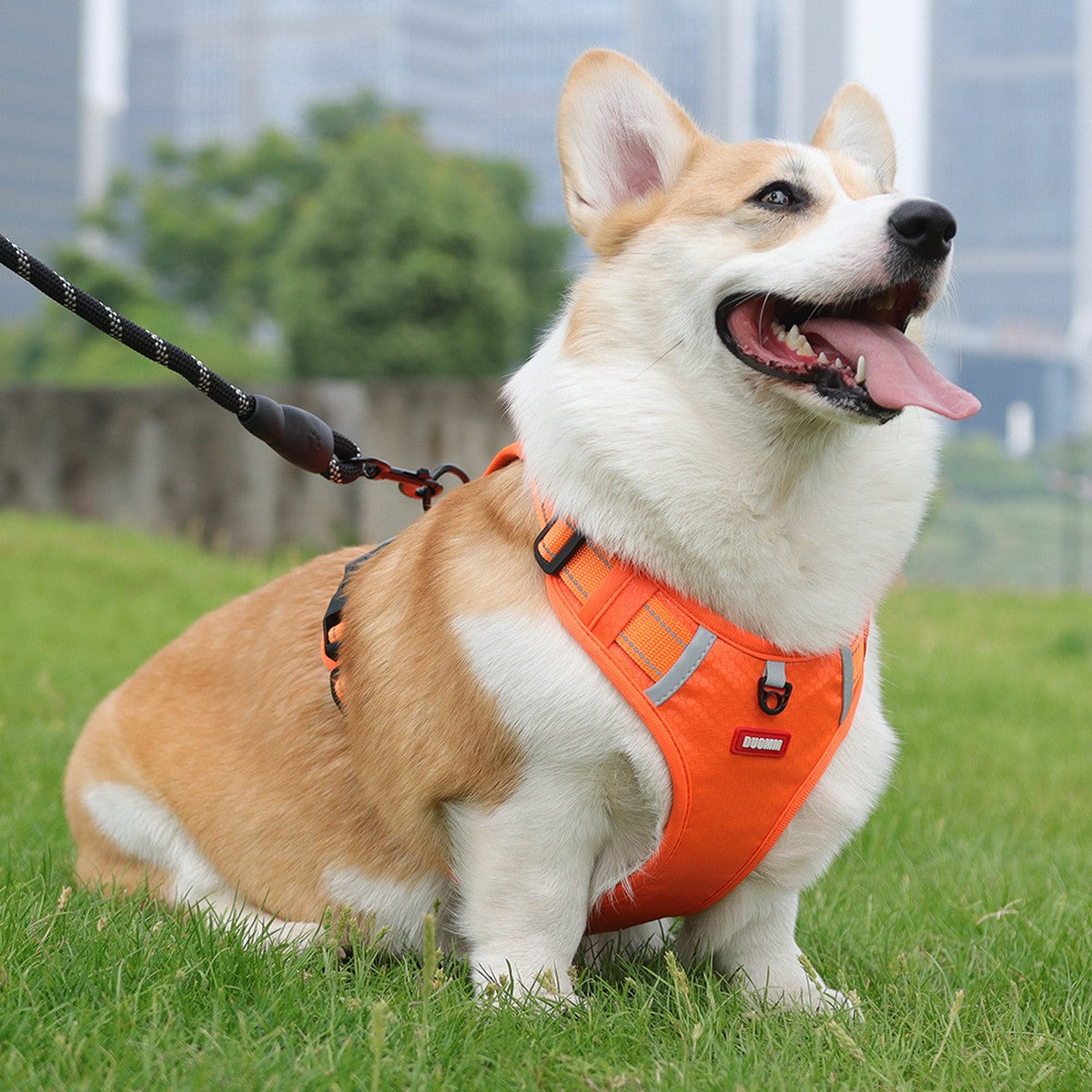 No-Pull Reflective Dog Harness, Large Dog Leash_CWMM12442