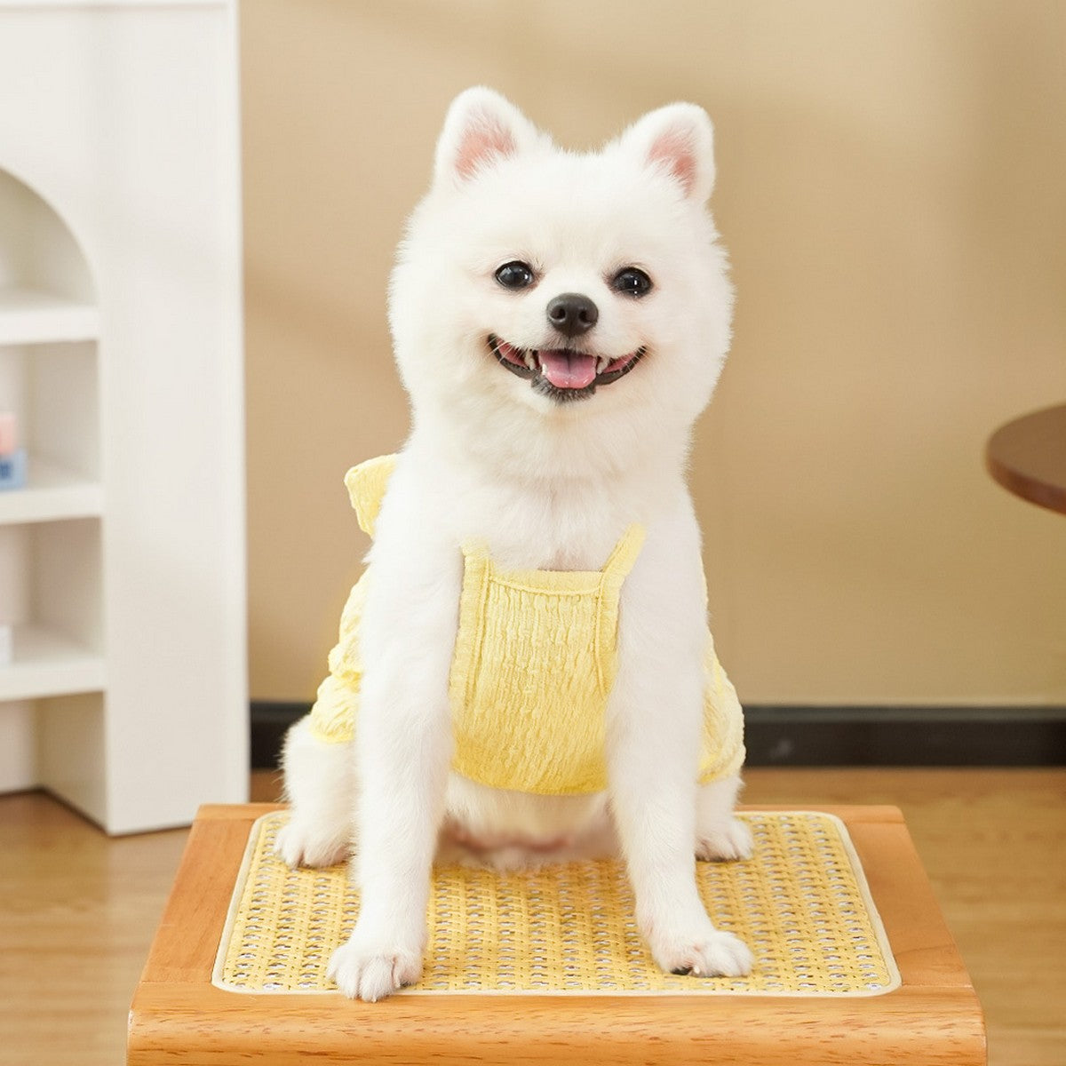 New Pet Tutu Dress Thin & Cute for Teddy and Bichon_CWMM11140