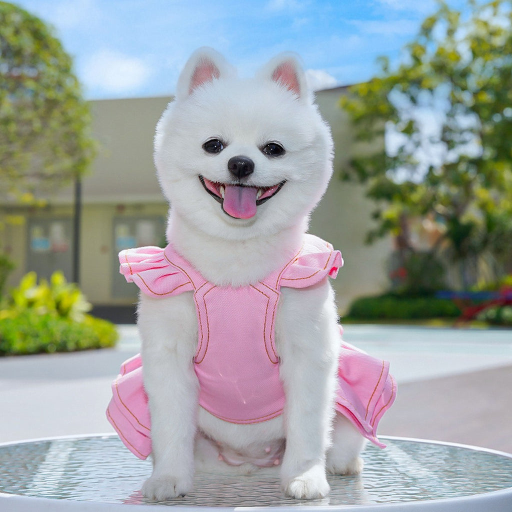 Dog Dresses Cute Denim Overalls with Leash Loop_CWMM11124