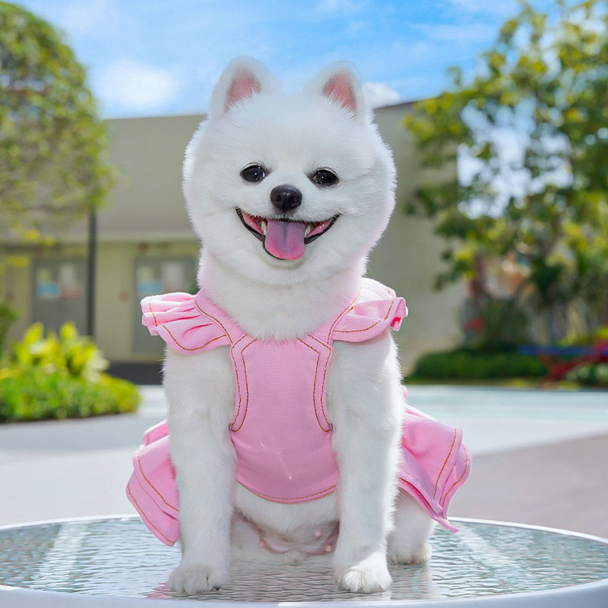 Dog Dresses Cute Denim Overalls with Leash Loop_CWMM11124