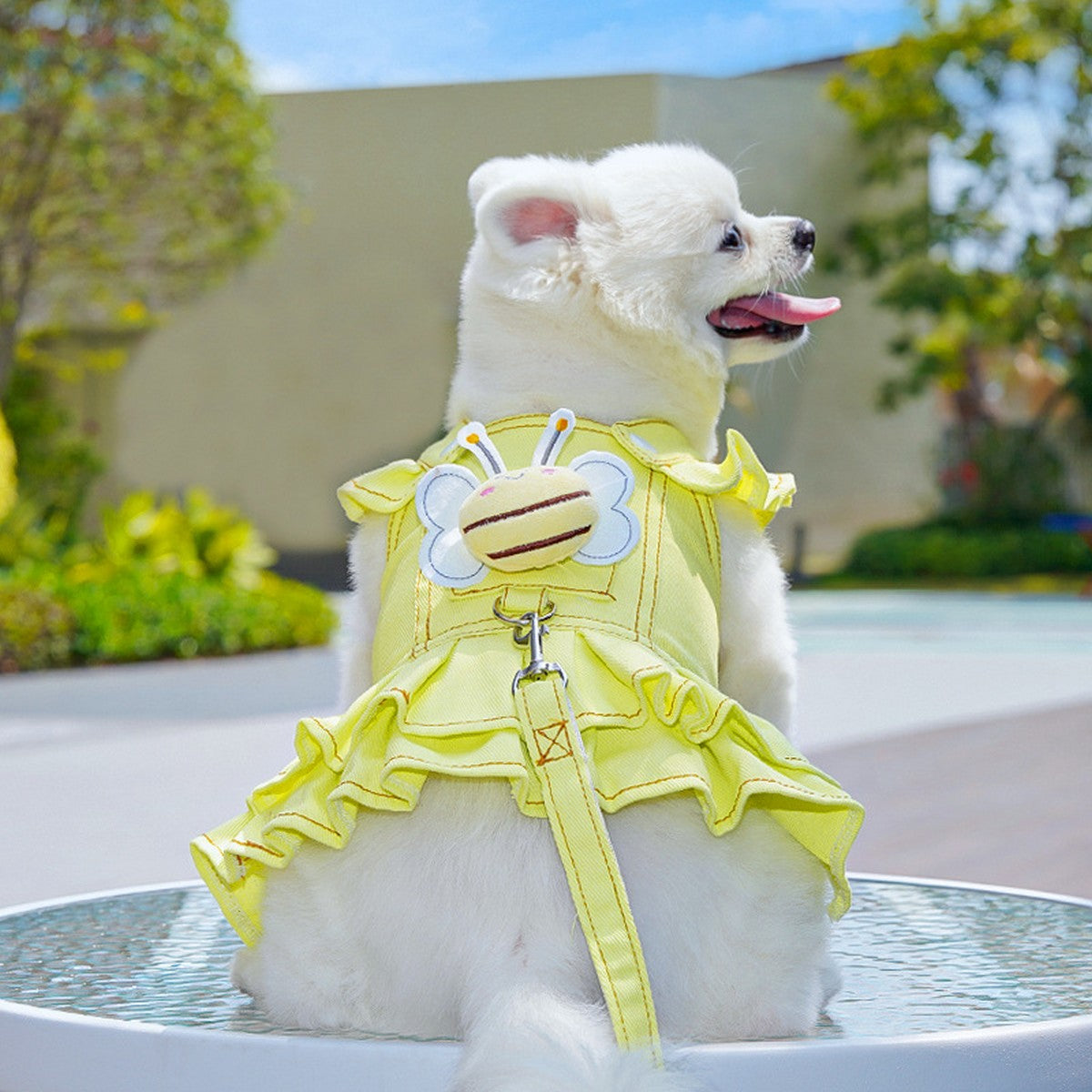 Dog Dresses Cute Denim Overalls with Leash Loop_CWMM11124