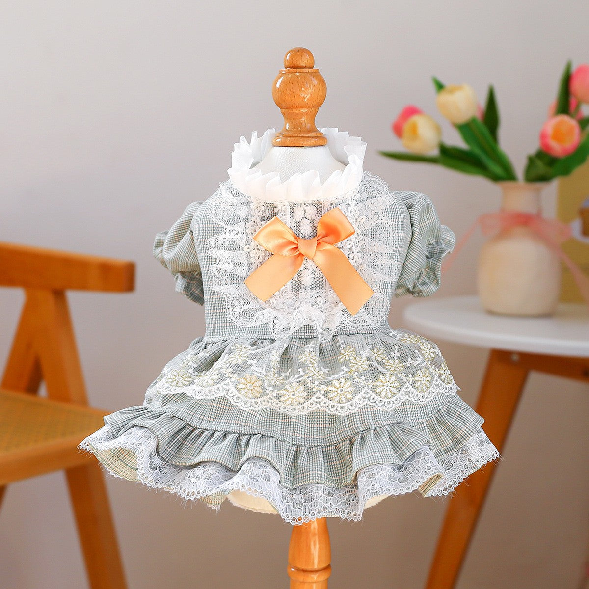 Small Pet Lace Court Princess Dress_CWMM13116