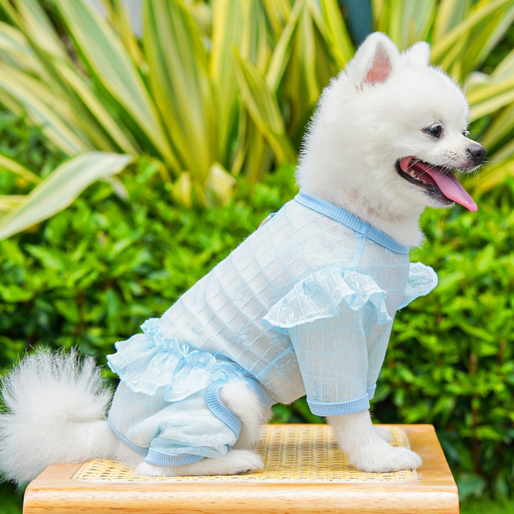 Sheer Mesh Lace for Cats & Dogs_CWMM11126