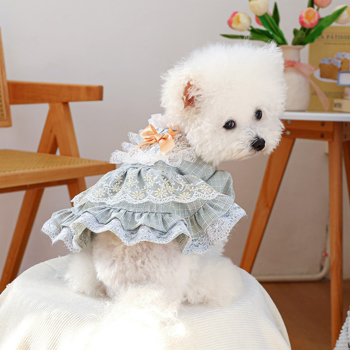 Small Pet Lace Court Princess Dress_CWMM13116