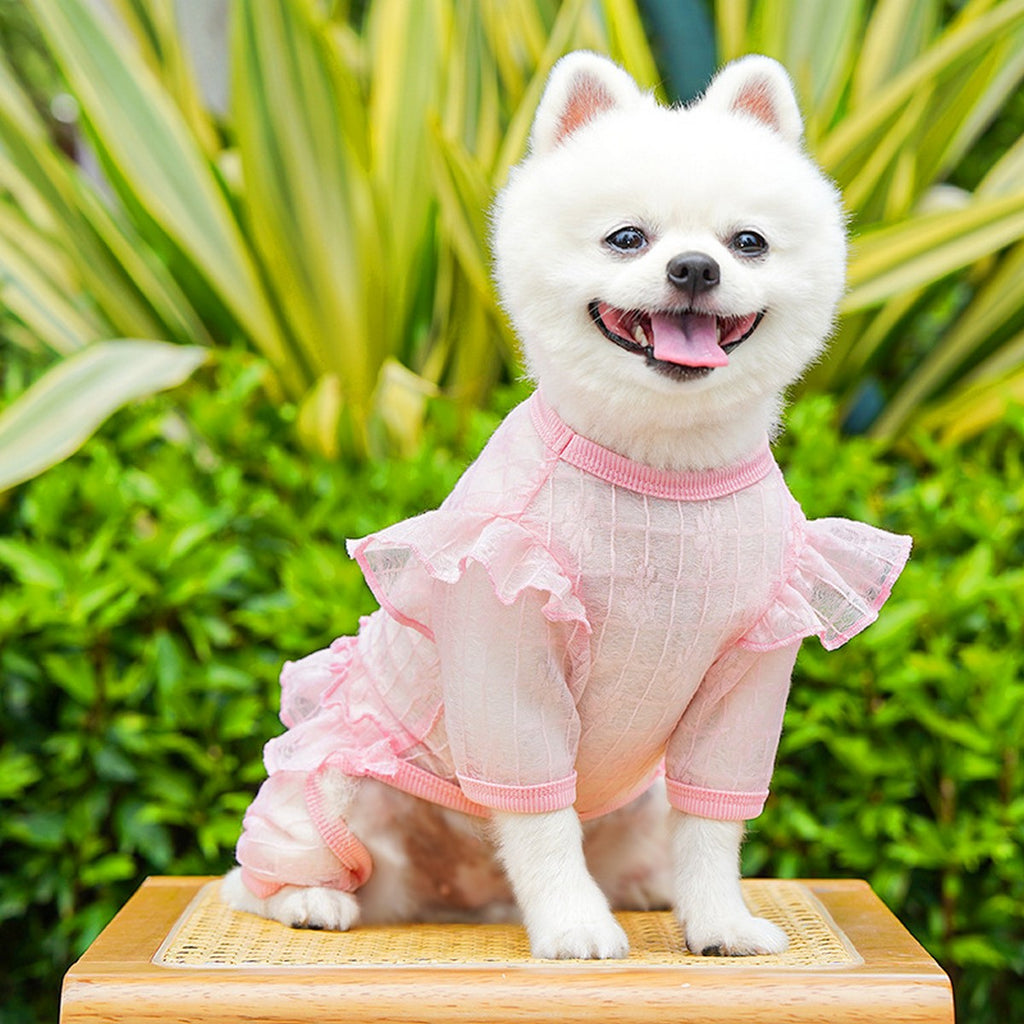 Sheer Mesh Lace for Cats & Dogs_CWMM11126