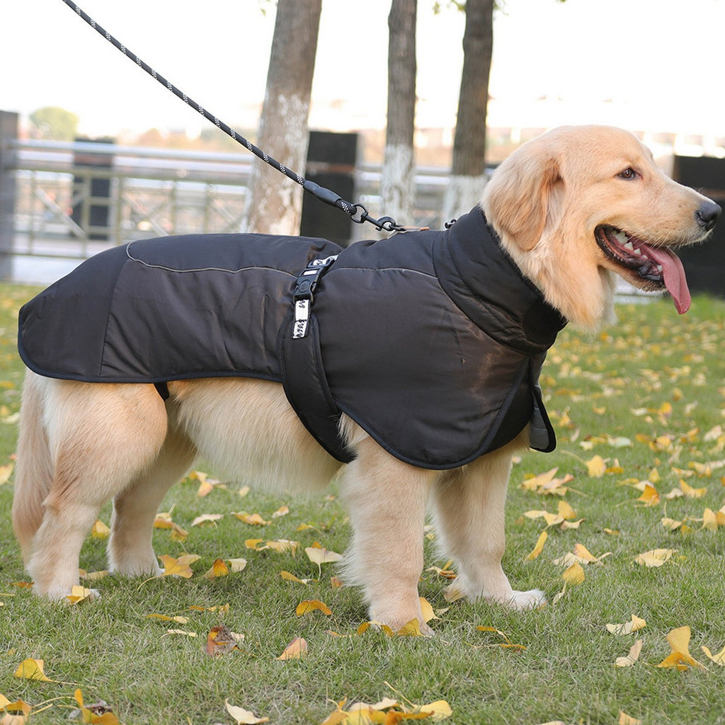 Autumn Warm Dog Cloak for Large Dogs_CWMM12406