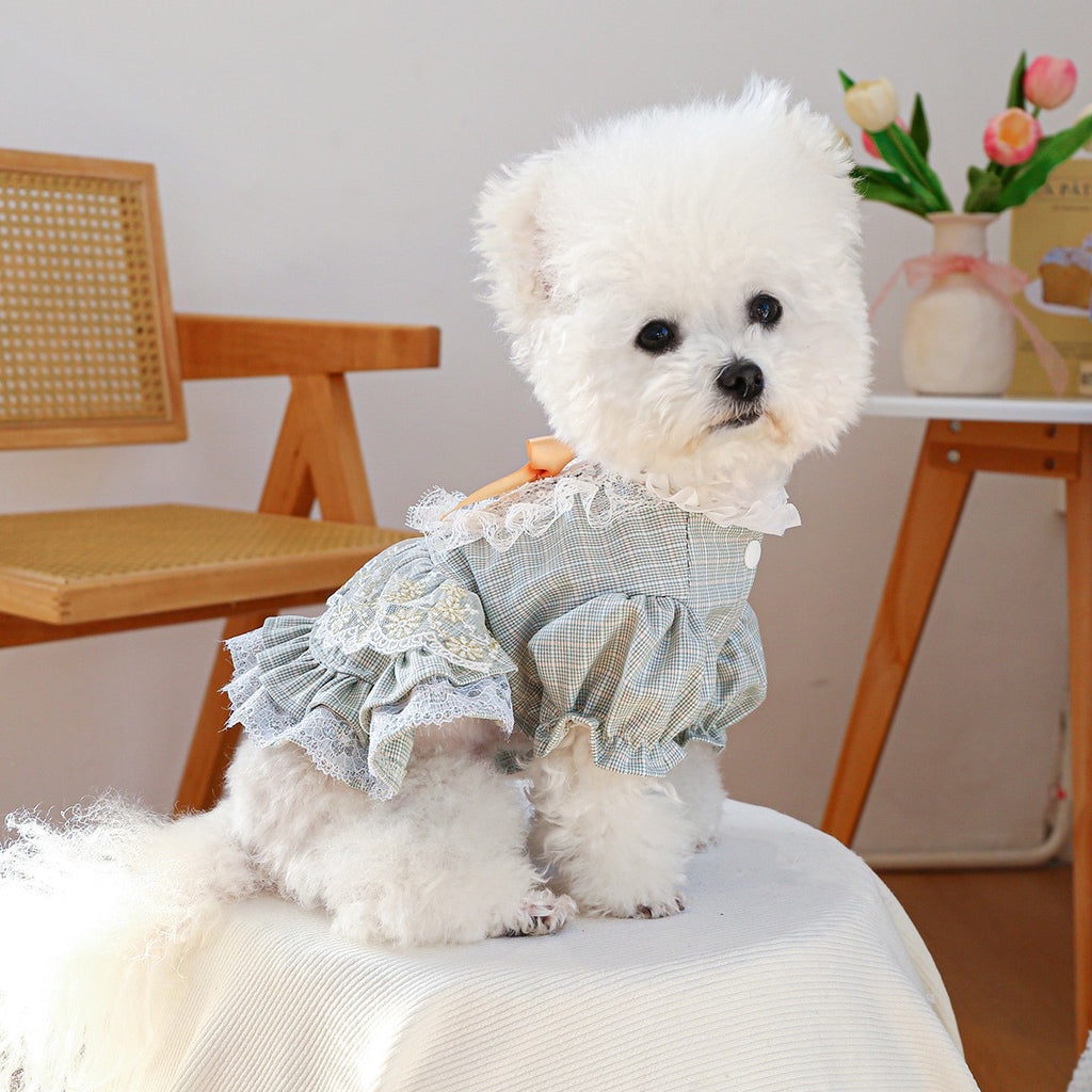 Small Pet Lace Court Princess Dress_CWMM13116