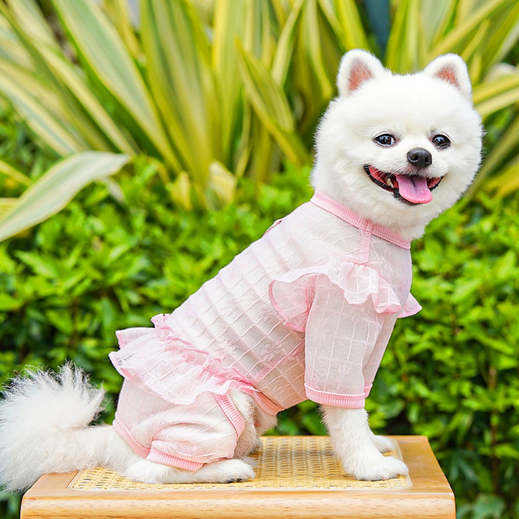 Sheer Mesh Lace for Cats & Dogs_CWMM11126