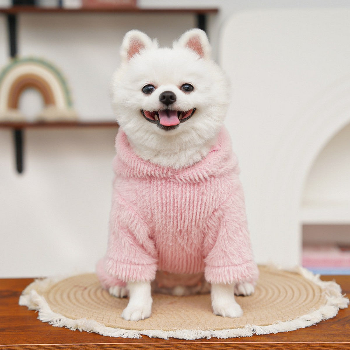 Winter Plush Hooded Vest for Small Pets_CWMM11181