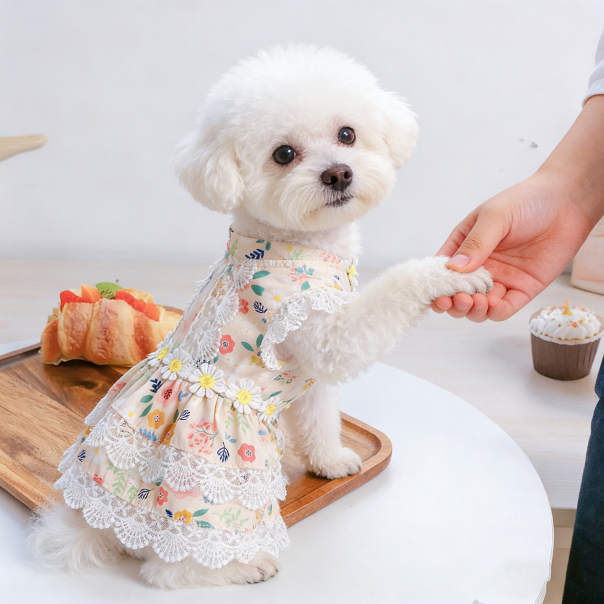 Small Pet Maid Style Floral Lace Dress_CWMM13117