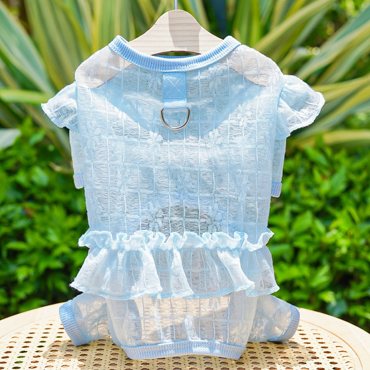 Sheer Mesh Lace for Cats & Dogs_CWMM11126