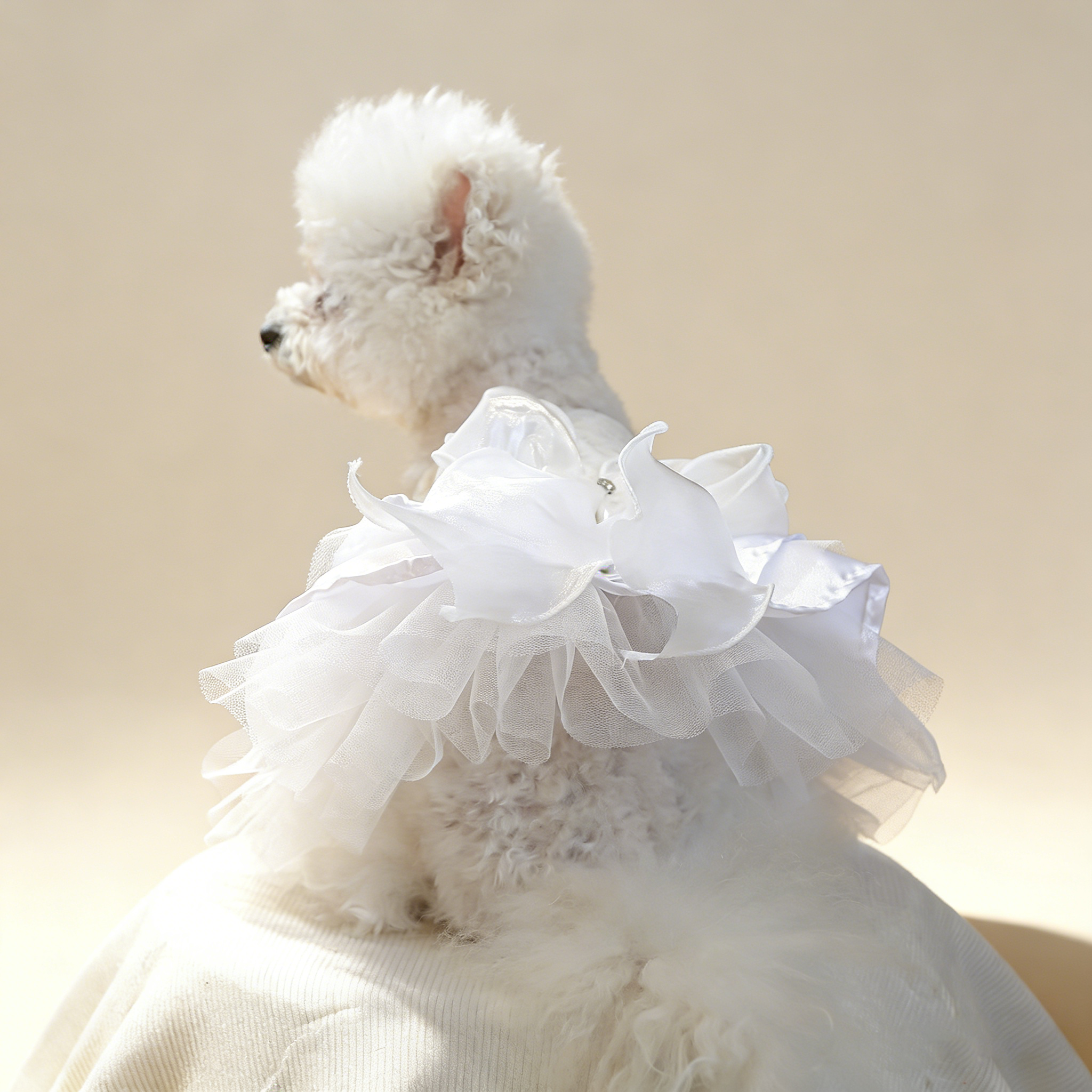 Cute Pet Ballet Tulle Princess Dress_CWMM13091
