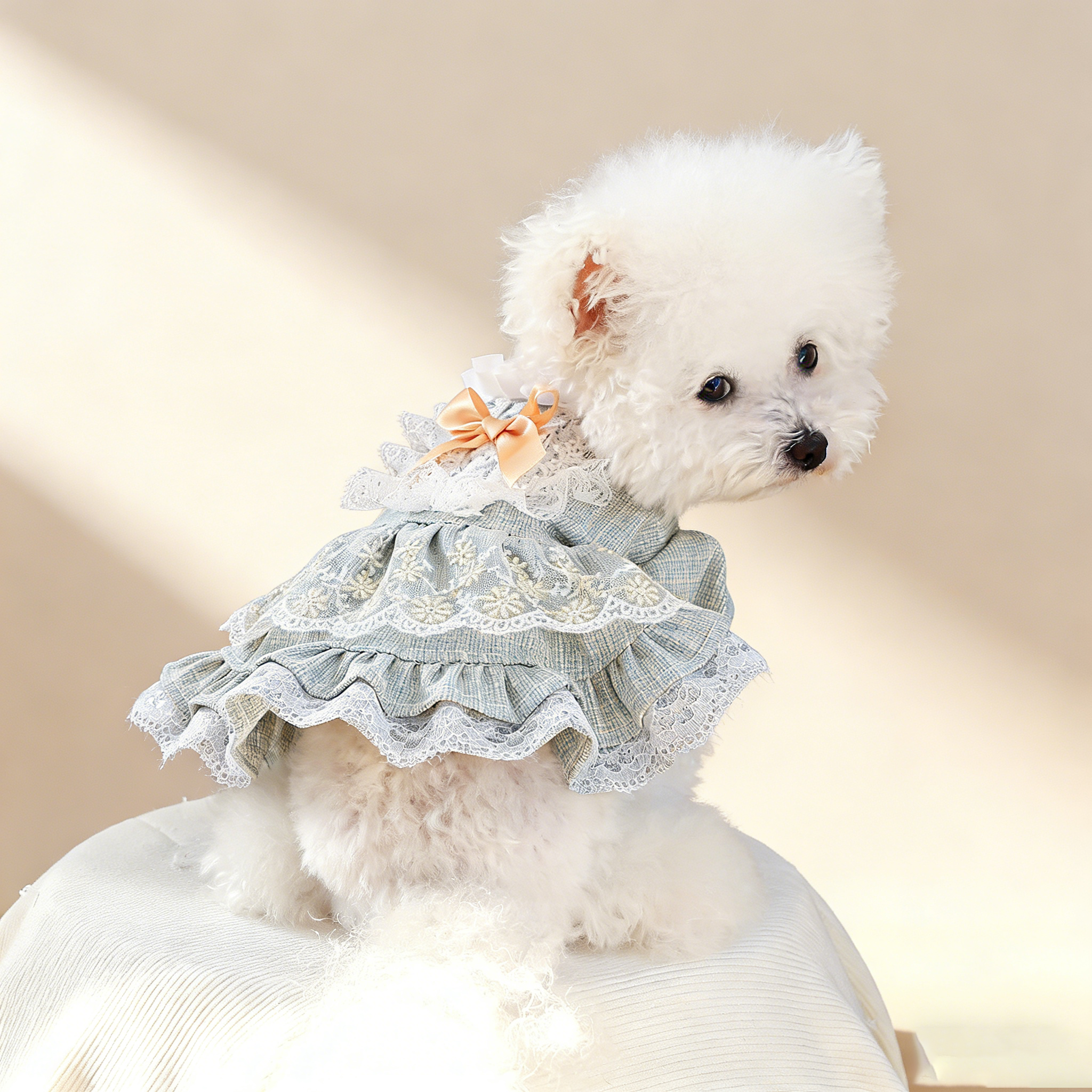 Small Pet Lace Court Princess Dress_CWMM13116