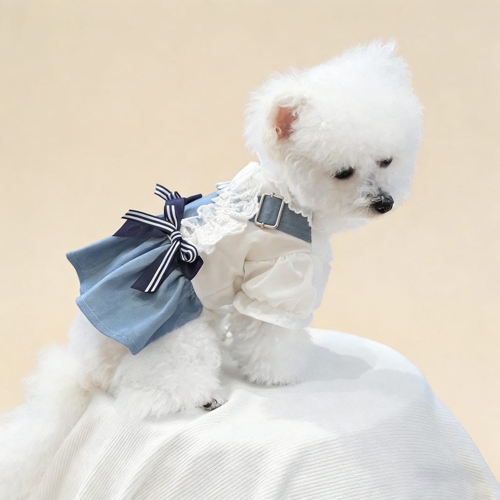 Pet Cozy Denim Dress Summer Beach Skirt_CWMM13045