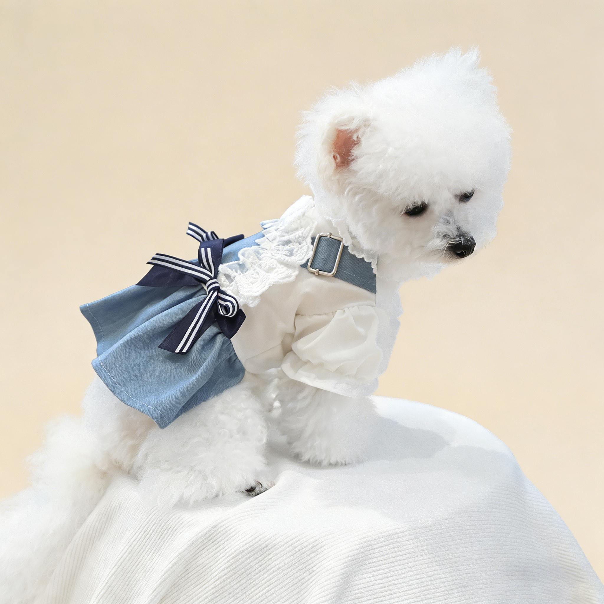 Pet Cozy Denim Dress Summer Beach Skirt_CWMM13045